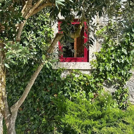 Charming House With Private Pool In * Porto de Mos (Leiria)